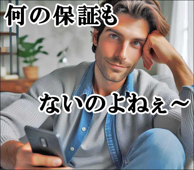 何の保証もない画像