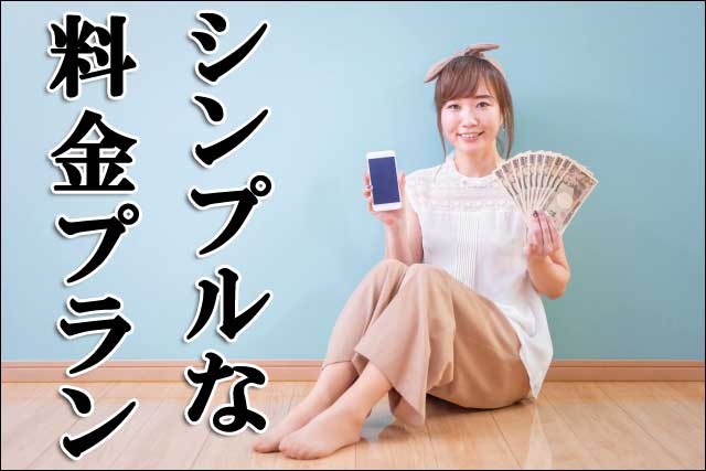 シンプルな料金プランの画像